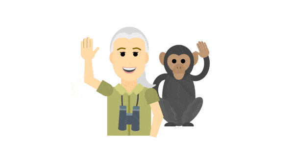 Shapes coming together to draw Jane Goodall and a chimp
